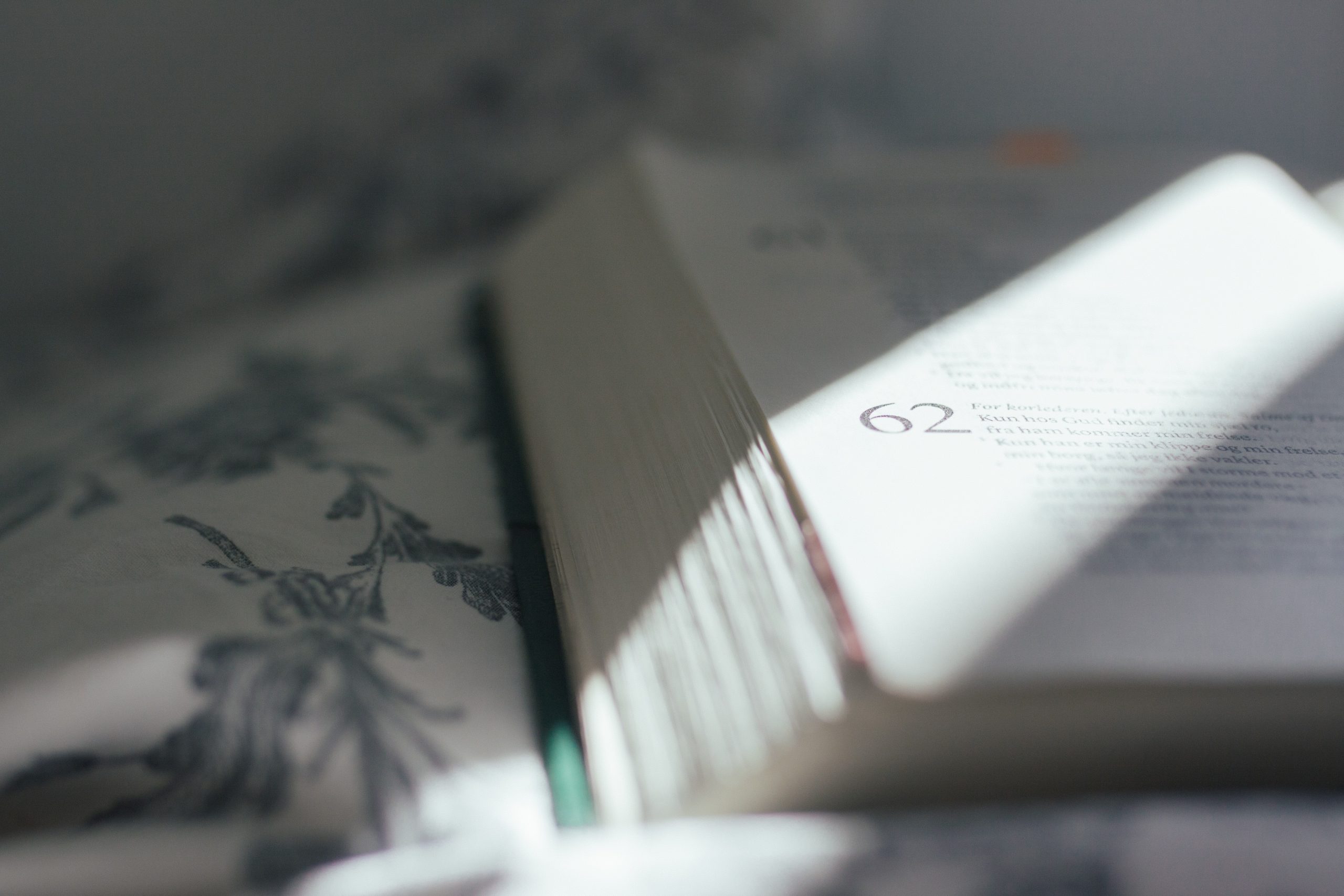 lilian-dibbern-GX1Dz9cZHc0-unsplash